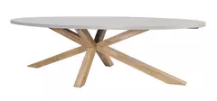 Brumby ovale tafel 240 x 115cm met houten onderstel, Eurofar, www.tuinmeubels.nl