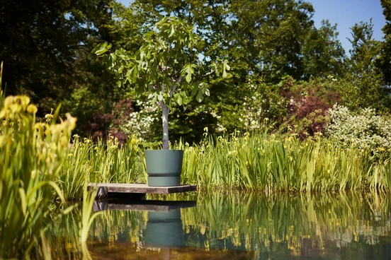 Elho Greenville Pot Blad Groen (Ø 55 cm), Sfeerbeeld, Elho, Tuinmeubels