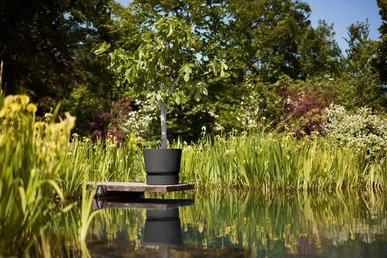 Elho Greenville Pot Living Black (Ø 55 cm), Sfeerbeeld, Elho, Tuinmeubels