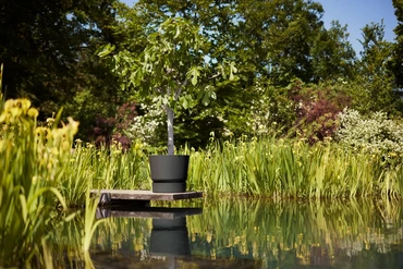 Elho Greenville Pot Living Black (Ø 55 cm), Sfeerbeeld, Elho, Tuinmeubels