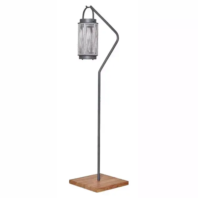 Lamp Ivy frame hanging Light